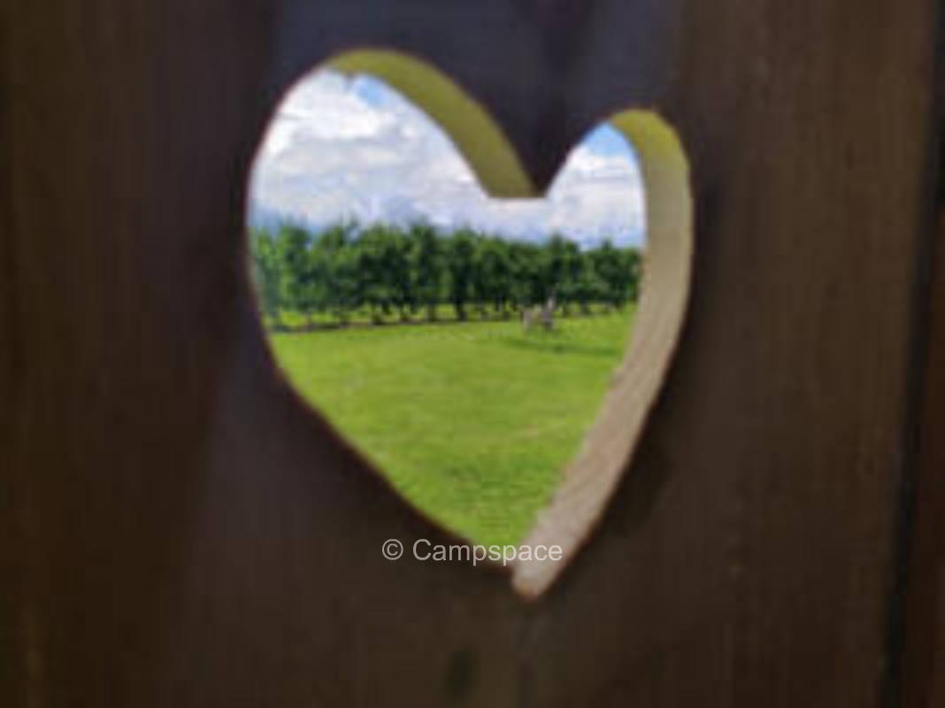 Orchard in the vacation region of Lake Constance and Allgäu