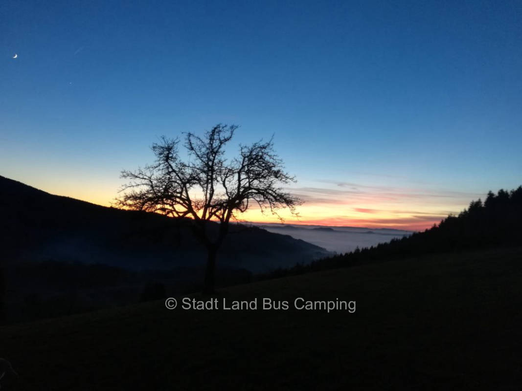 Langenberghof Vosges View 2