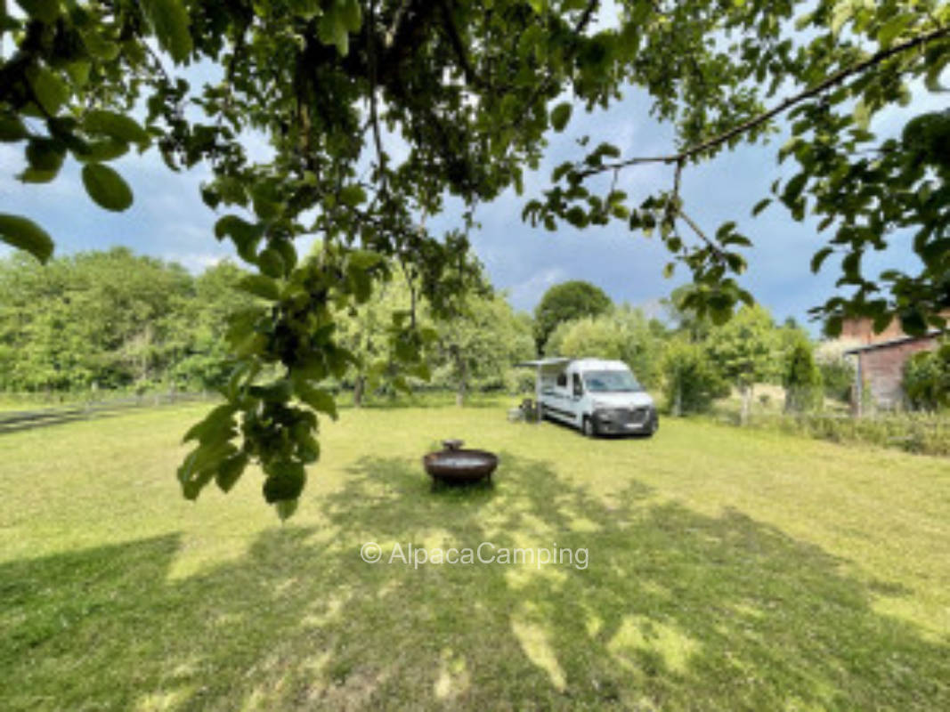 Pasture pitch Old Forge #1