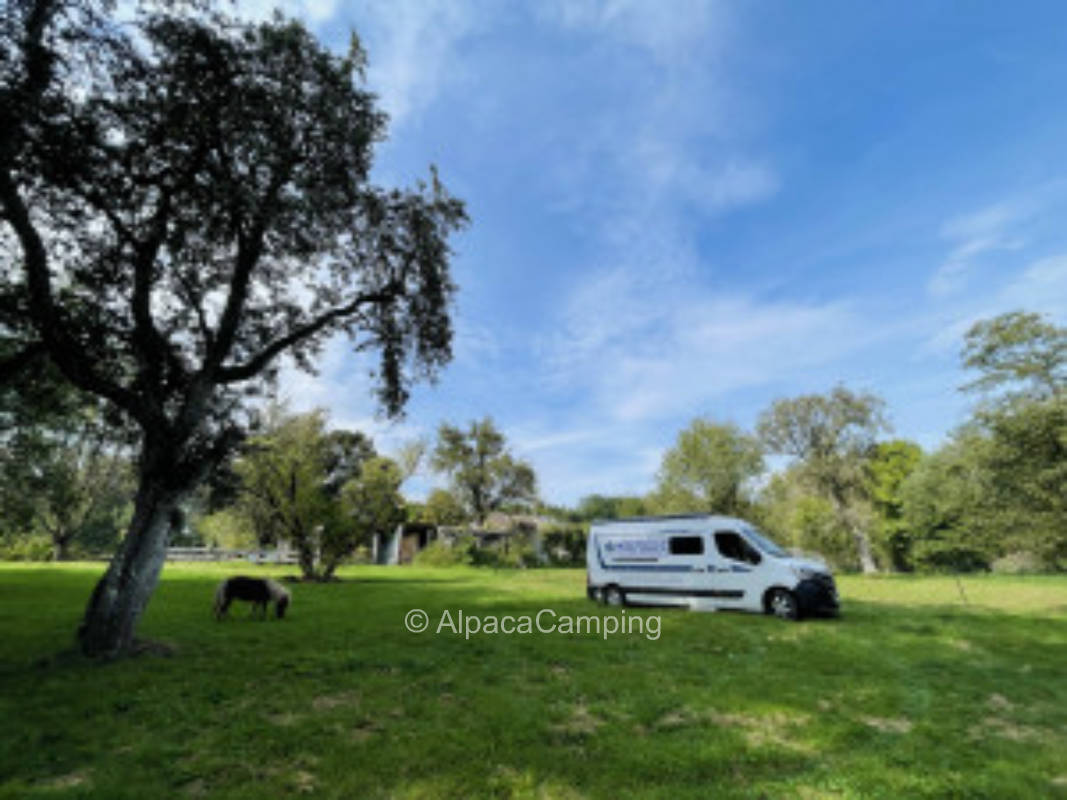 Wo sich Tiere wohl fühlen, blühen auch Menschen auf #3