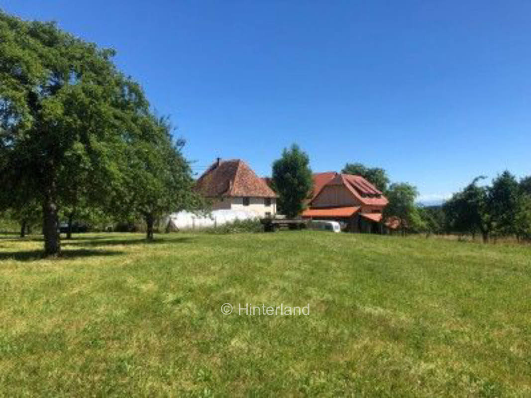 Tent and camping pitches in the green on the Bodanrück