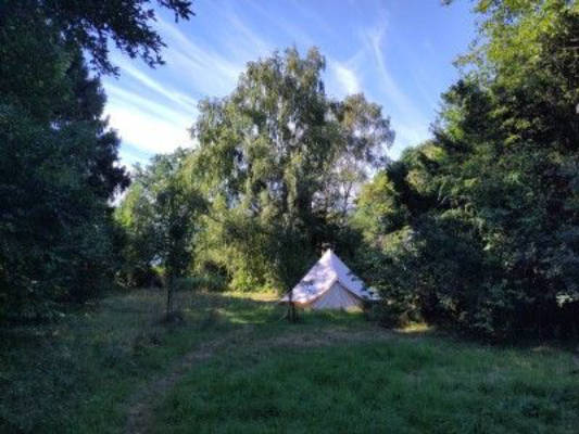 fühle Wildnis auf dem Haselhof