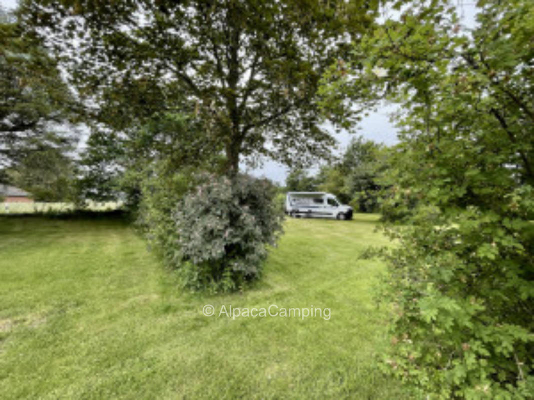 Pitch in quiet location on the outskirts of the village #2