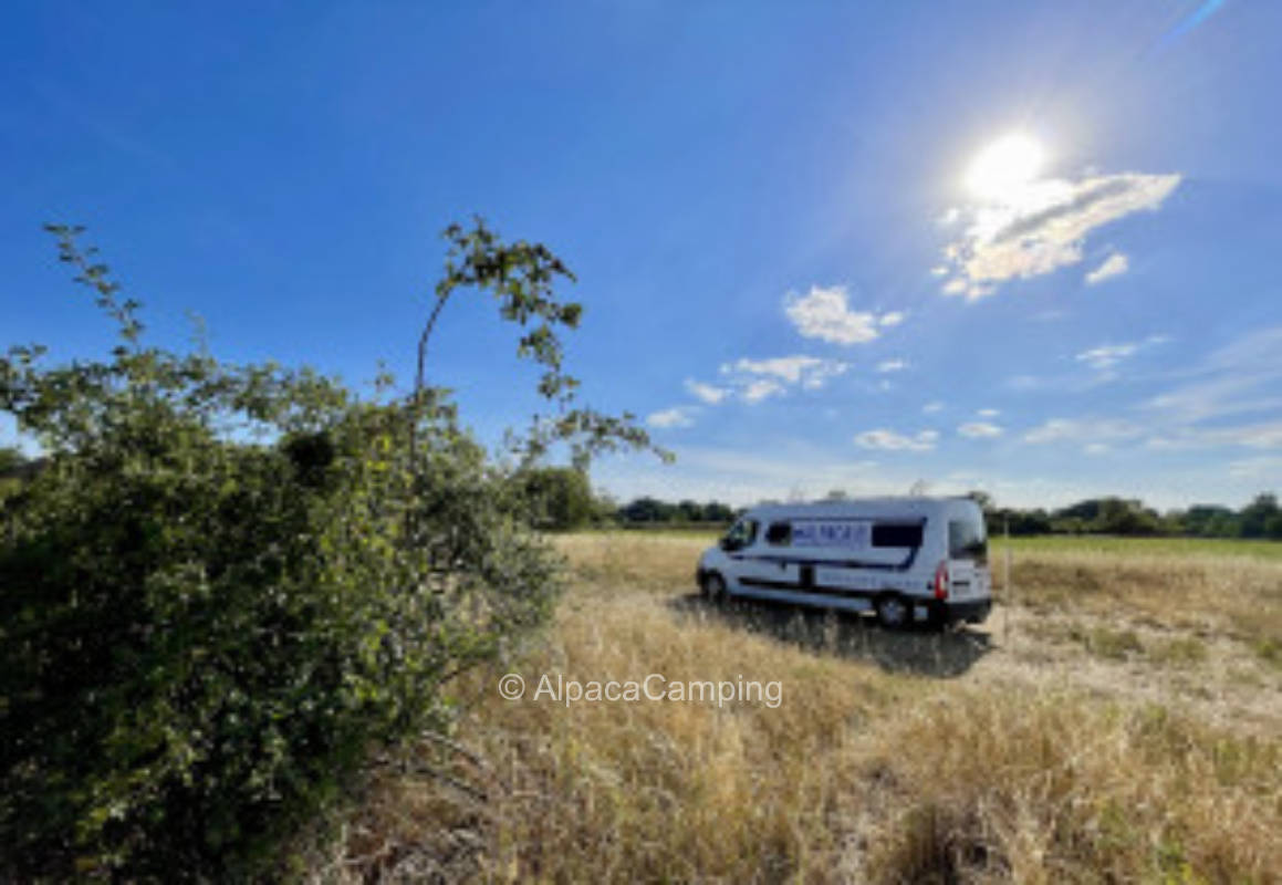 Stellplatz in Neulangsow #2