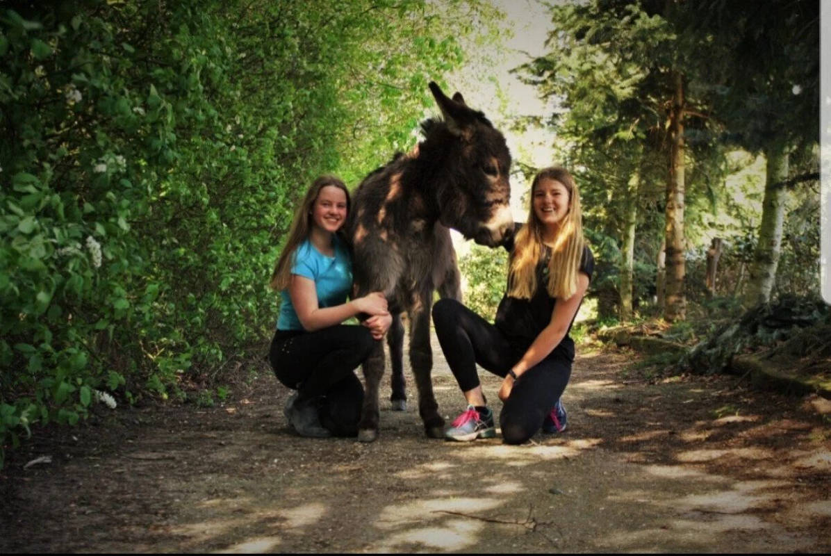 Wohnwagen & Wohnmobilstellplatz in Aurich