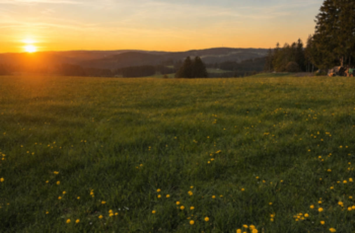 Alleine für Dich mit Schwarzwald-Panorama 