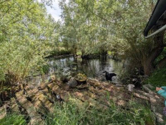 Idyll near Bamberg with pond & apple trees