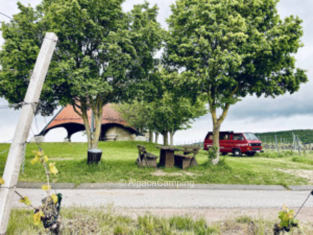 Über unseren Weinbergen mit 360° Panorama auf der Spitze des Herrenberg's #2, privater Stellplatz