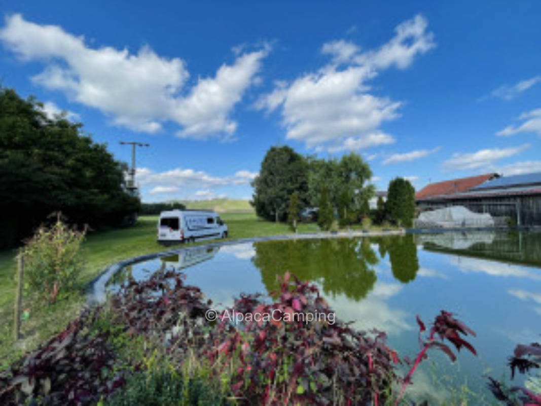 Am kleinen Bach #1