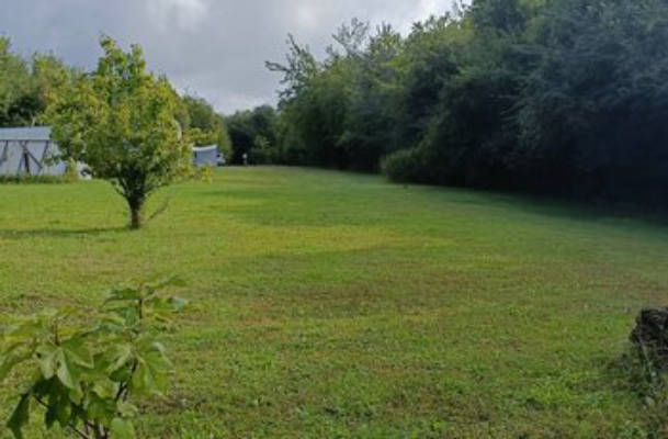 Camping at Fuchsis