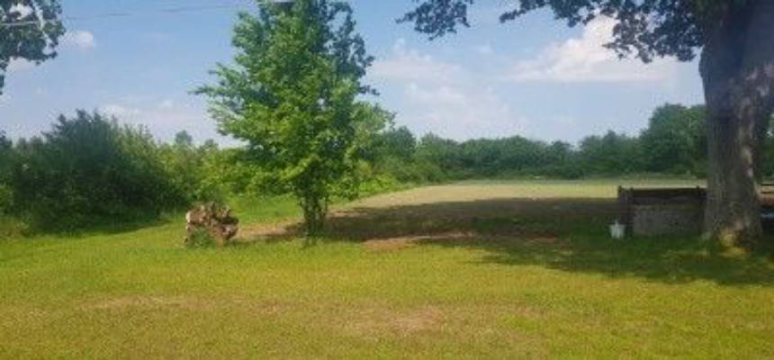 Pitch in nature on farm in isolated position