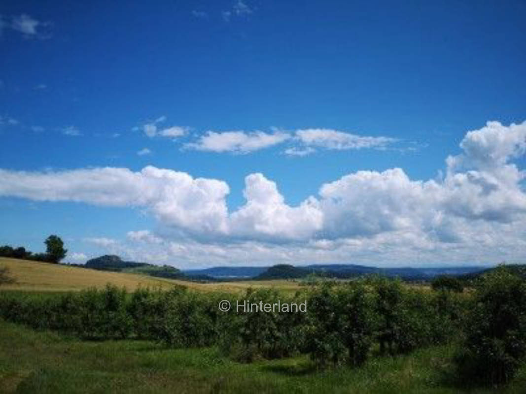 Einmaliger Stellplatz auf Biohof mit Alpenblick