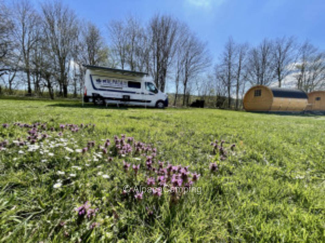 Stellplatz am Bauernhof auf der Wiese #2