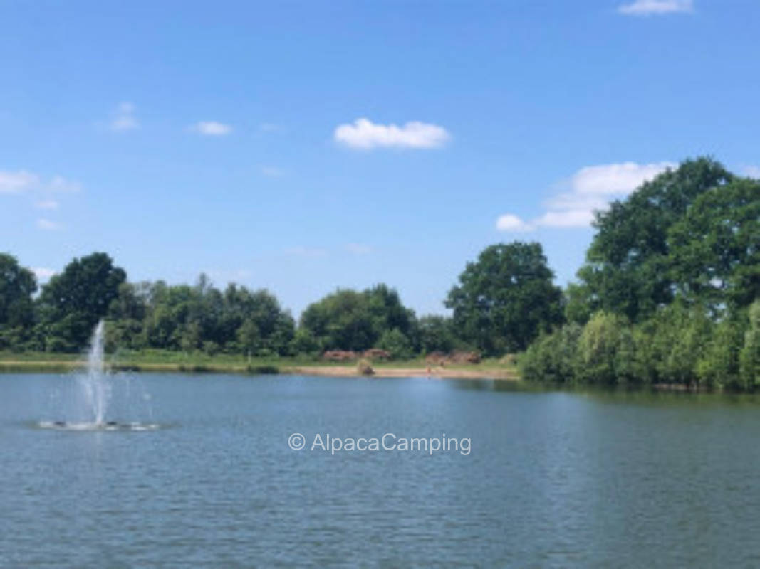 Traumhafter Stellplatz in der Nähe vom See #1