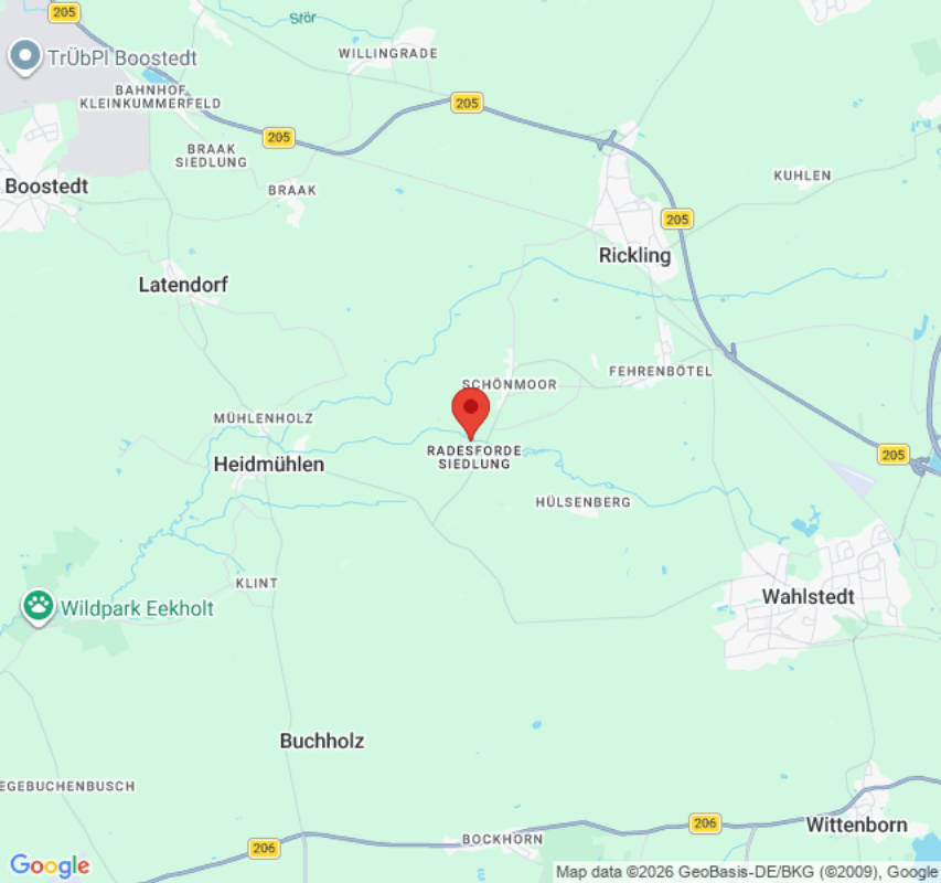 Wiese hinterm Haus neben Pferden