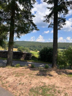 Stellplatz im Grünen: Waldrand Hofcamp