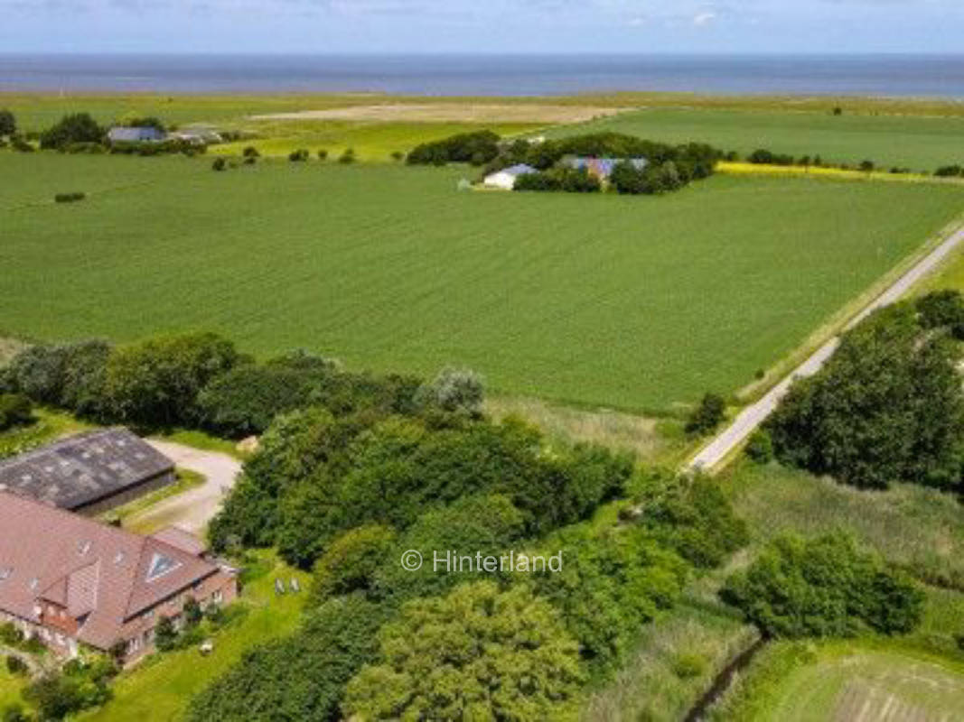 Bauernhofgarten auf der Nordseeinsel Pellworm