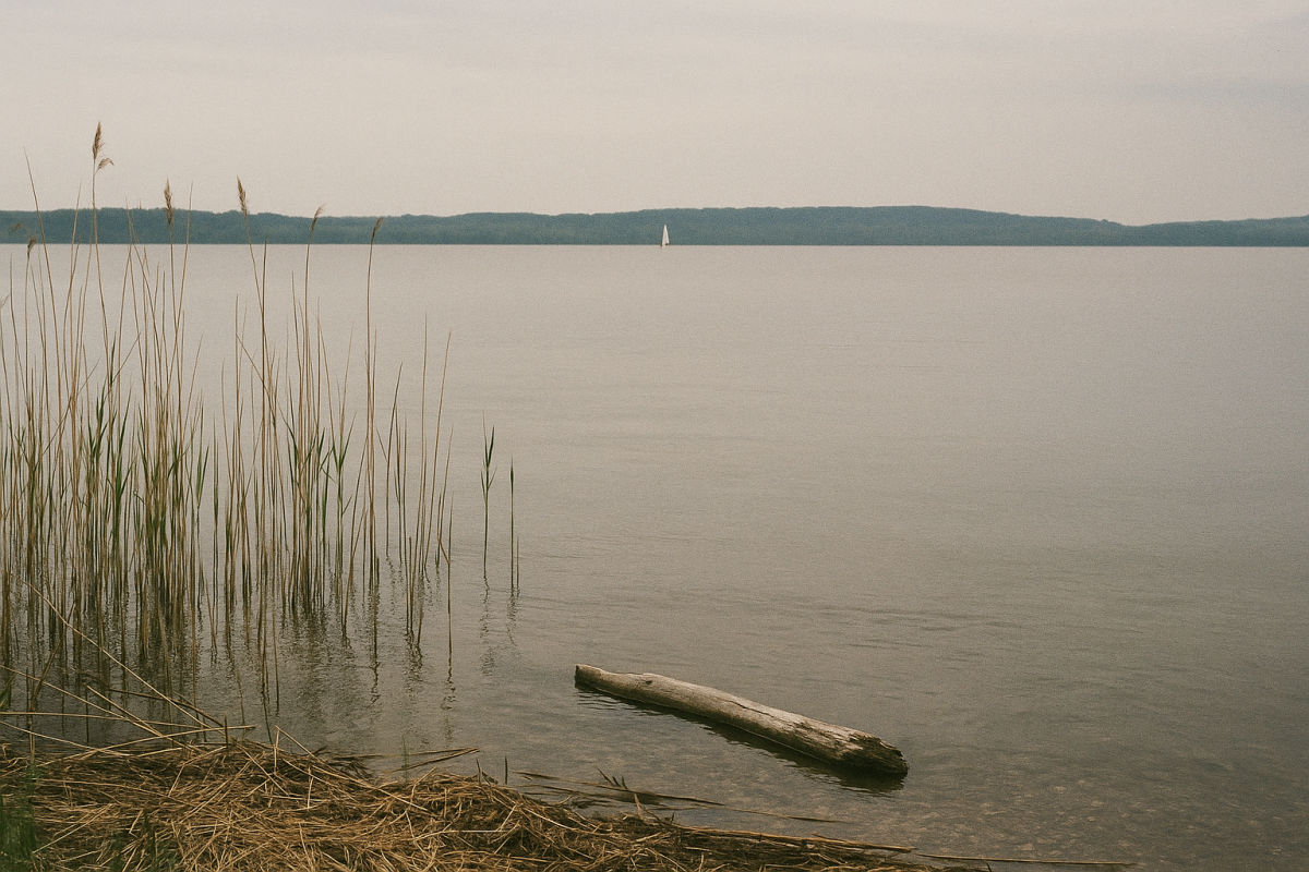 Der Tollensesee – KI-generiertes Symbolbild