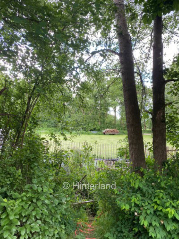 Camping by the forest in East Frisia