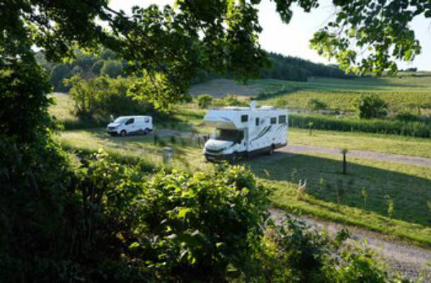 On the edge of the bird sanctuary on the vineyard