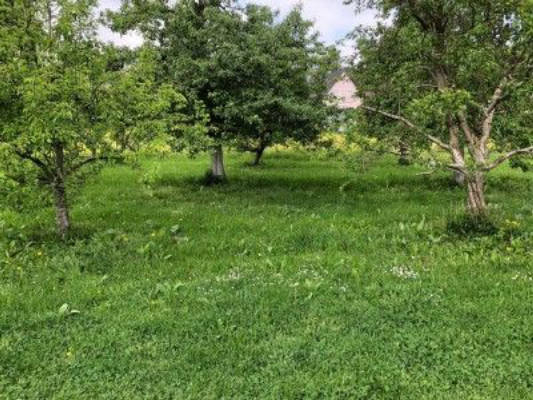 Im Obstgarten neben der Probierstube