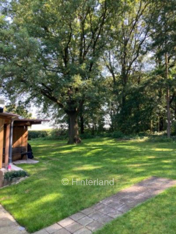 Wiese am Waldrand - ideal für Hundebesitzer