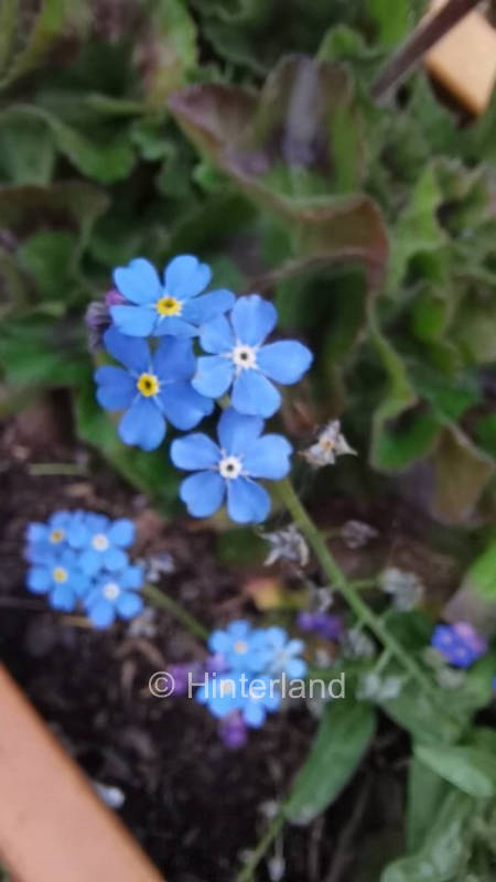 Auszeit mit Tieren in Nordsee-Nähe