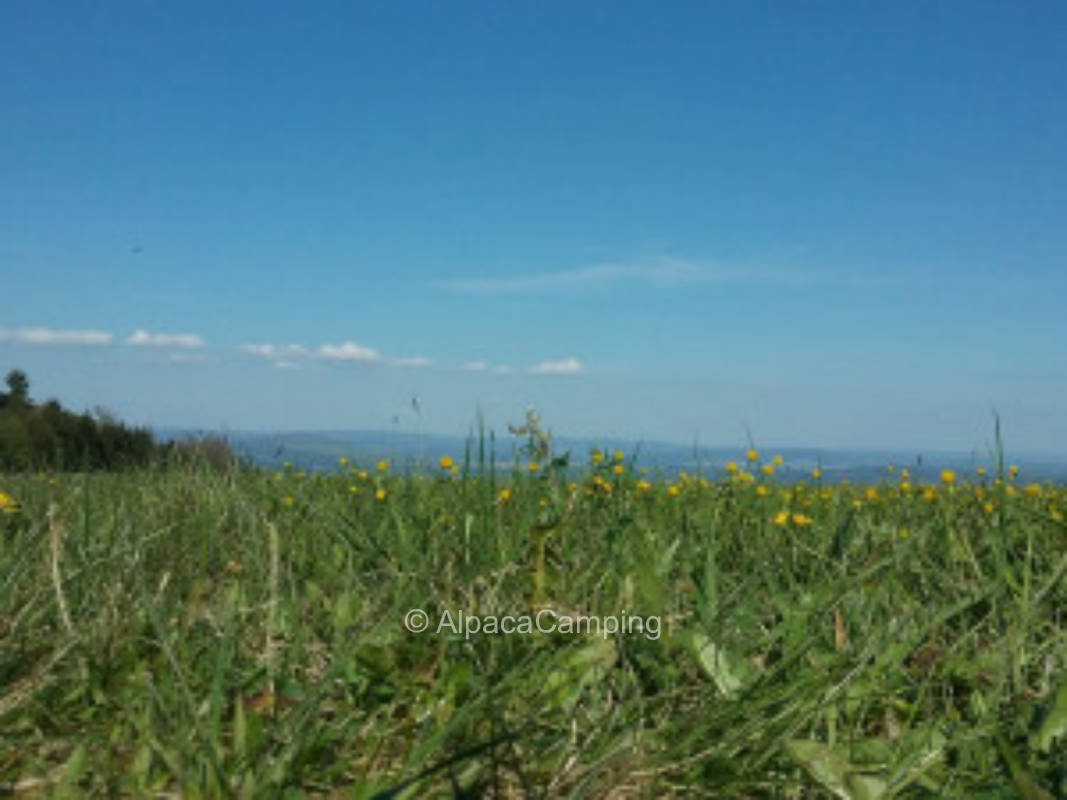 Campen im Land der weiten Fernen zwischen Himmel und Erde #4