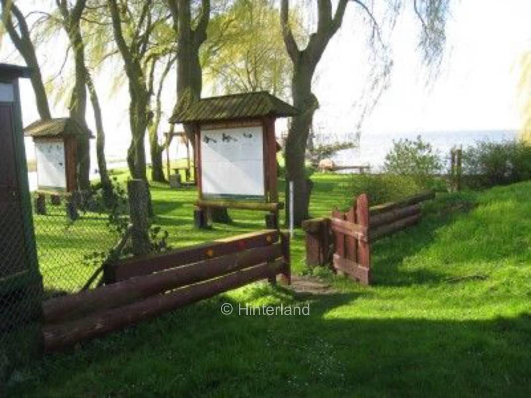 Stettiner Haff: Panorama-Camping nahe Nationalpark