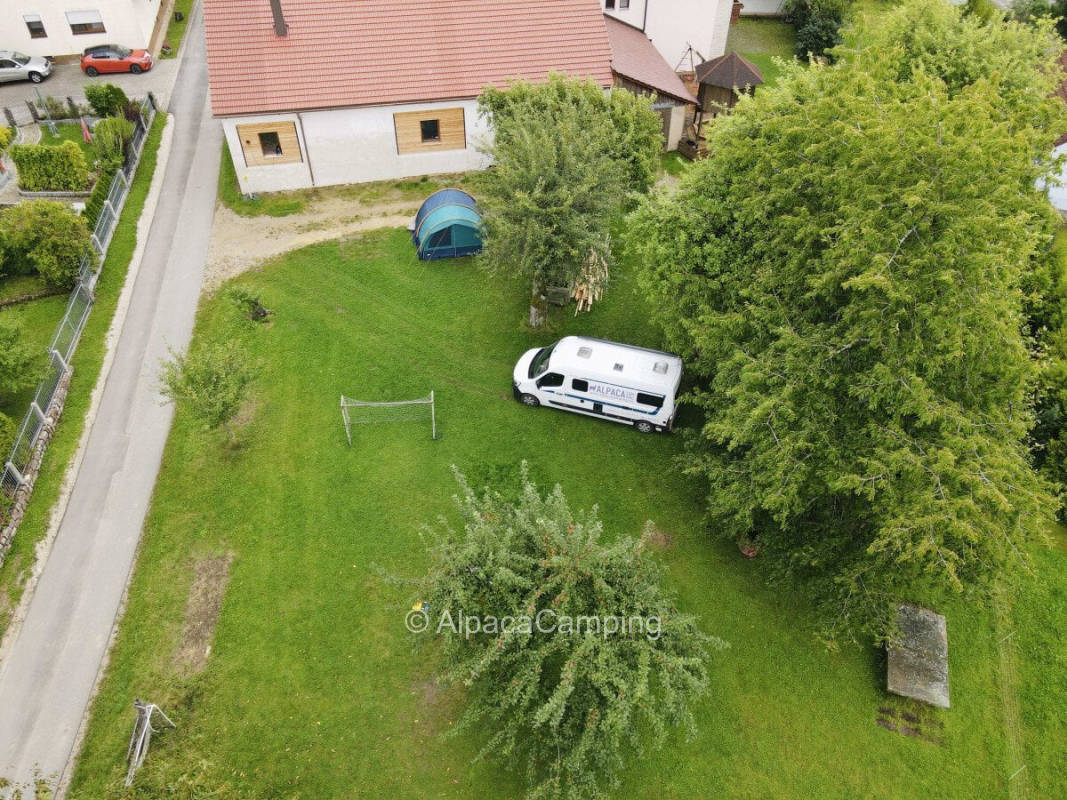 Orchard near our farm #1