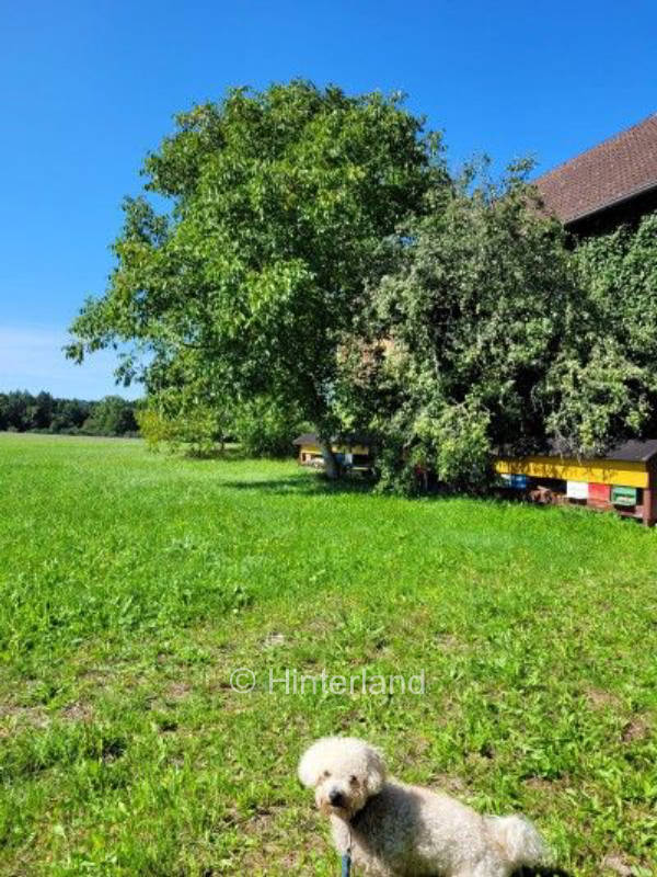 Lands end in der Fränkischen Schweiz