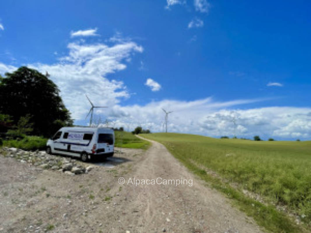 Bauernhof-Idylle nur 1,8 km zum Badestrand in Grömitz #2