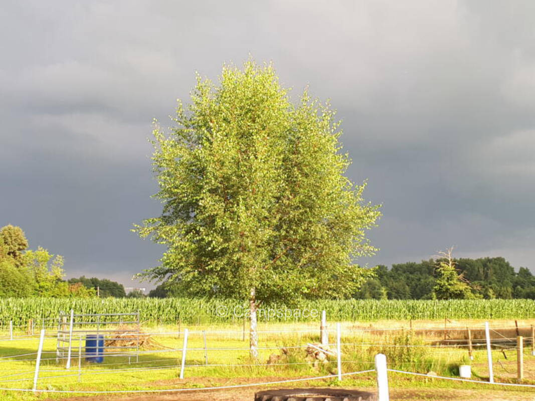 Camping auf der Pferdewiese - Nähe Hamburg