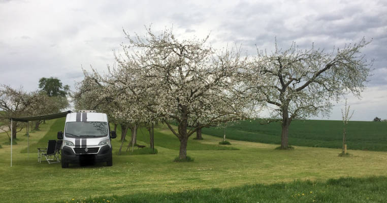 Ländliche Idylle an der Blumen-Obstwiese 🌸🍏🌻