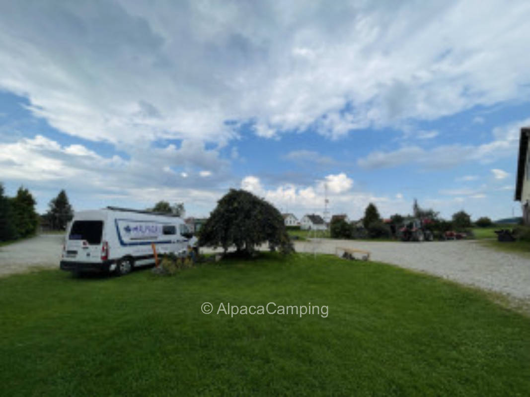 Pitch on our Demeter farm #2