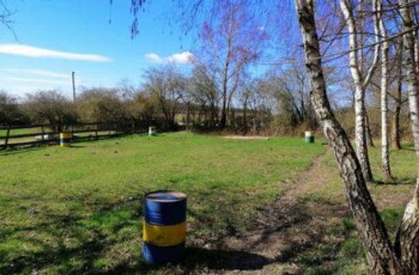 Meadow on the outskirts