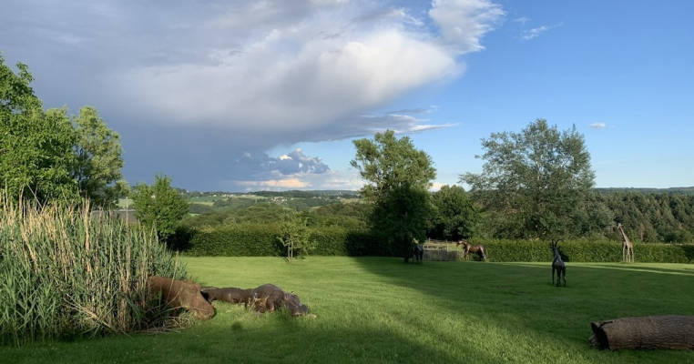 Safari vacation at the Siebengebirge