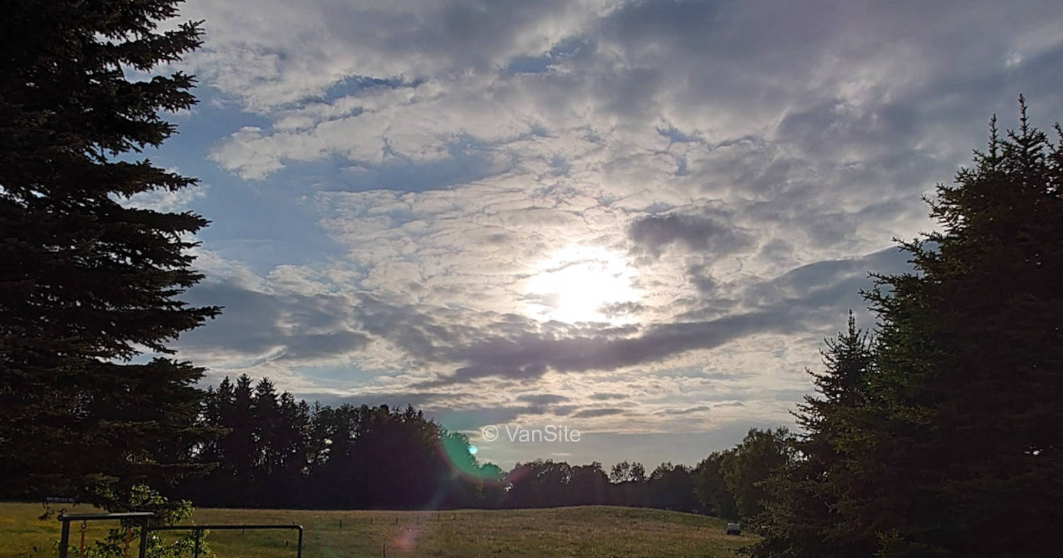 Idylle am Seerosenteich