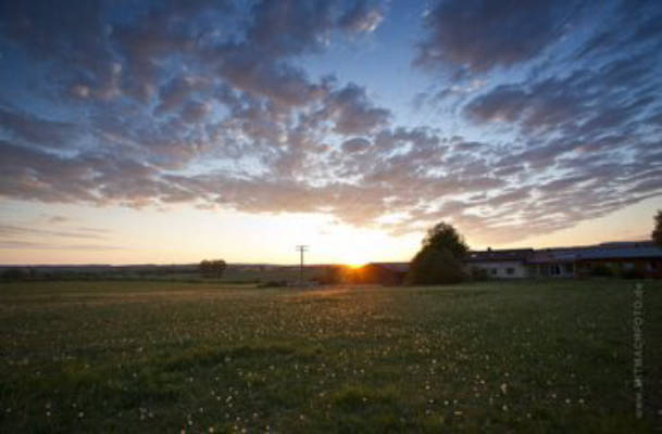 Auf dem Biohof