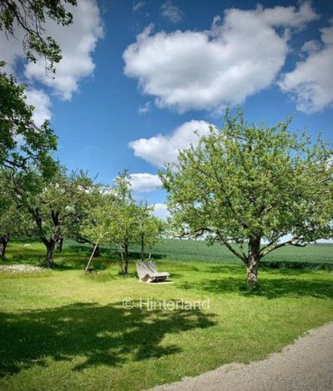 Time out at the flower meadow + fireplace