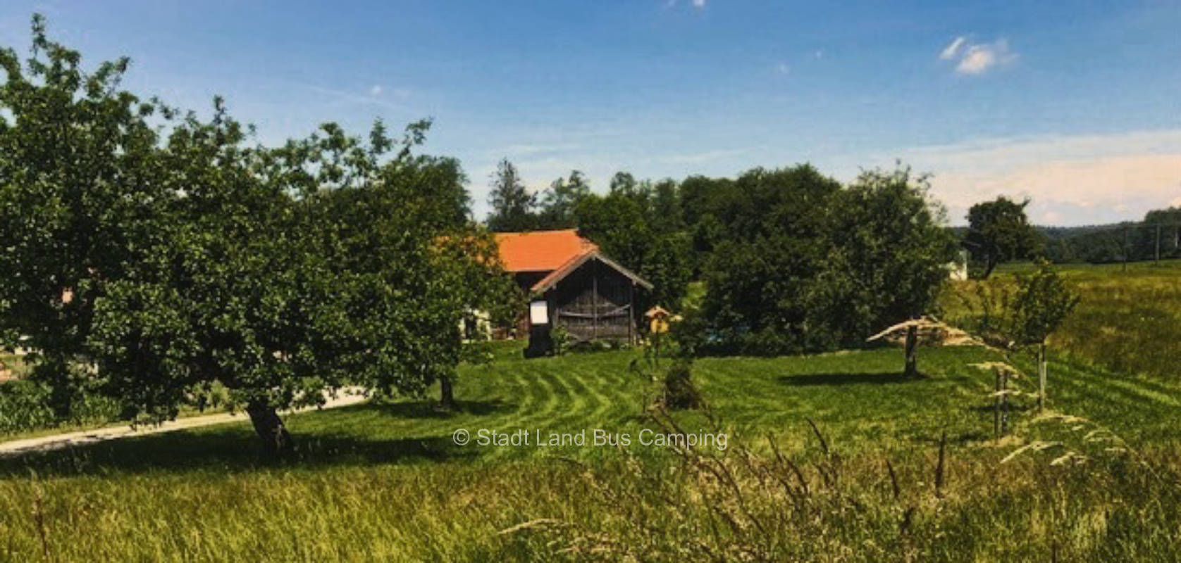 Holzmüllerhof - listed farm with fruit tree meadow 2