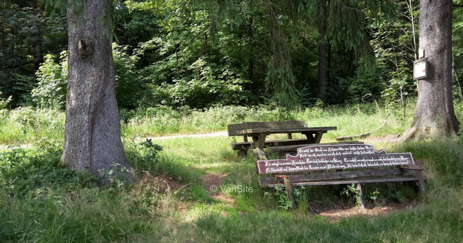 An der Bergwiese