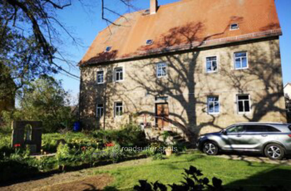 Pitch on the meadow in bloom