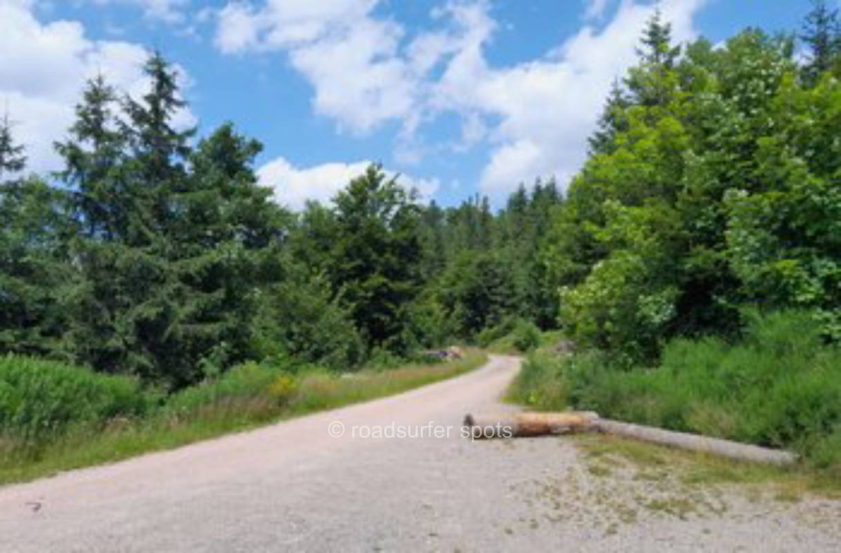 Forest parking lot not far from the Windgfäll Pond
