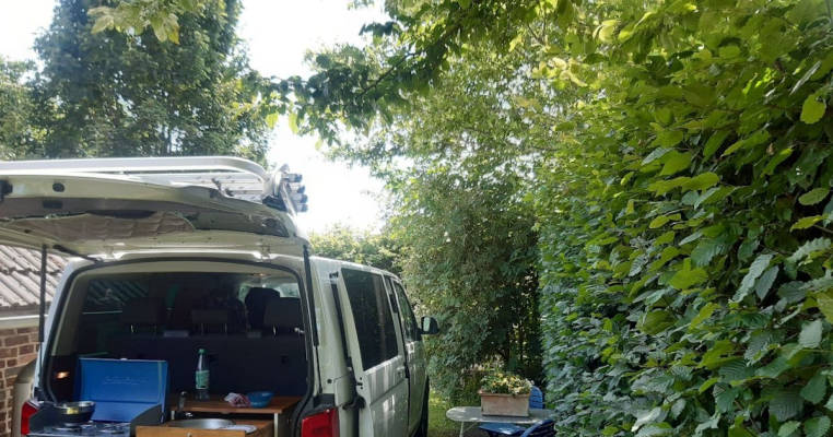 Gartenwiese zwischen grüner Hecke und Schuppen