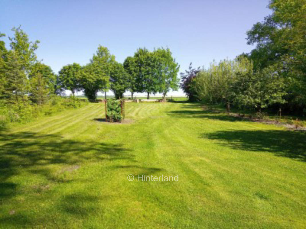Flämingskate in the green