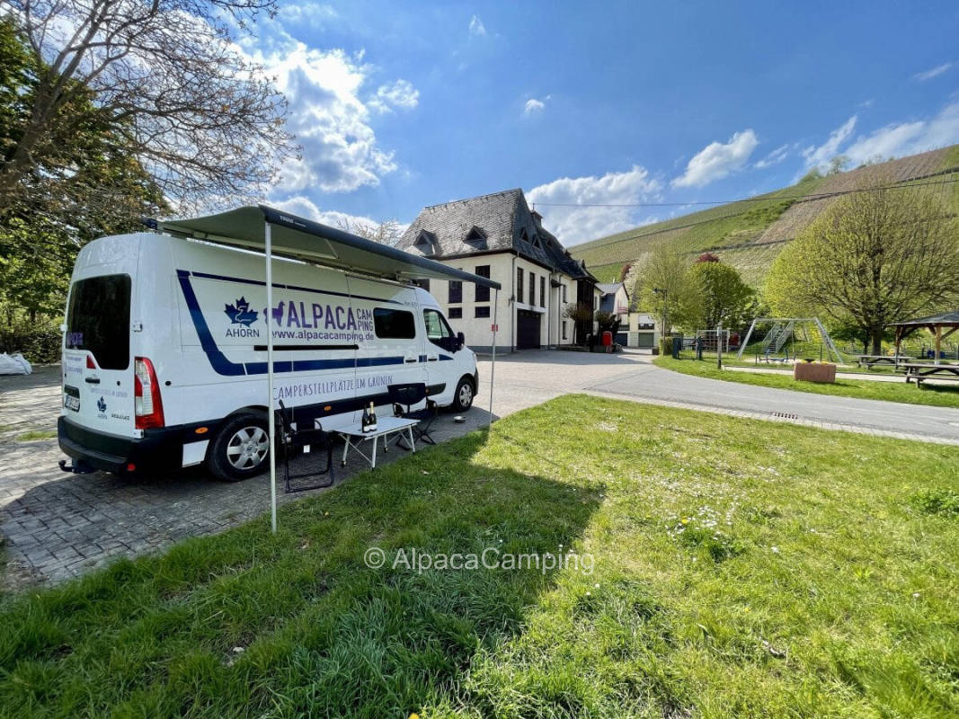 AlpacaCamping 2412