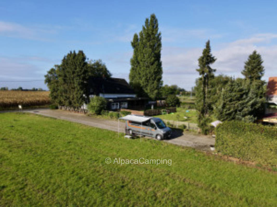 Honey dream in green Recklinghausen #4