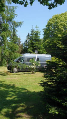 Nähe Halbendorfer See zwischen Tannen erholen!