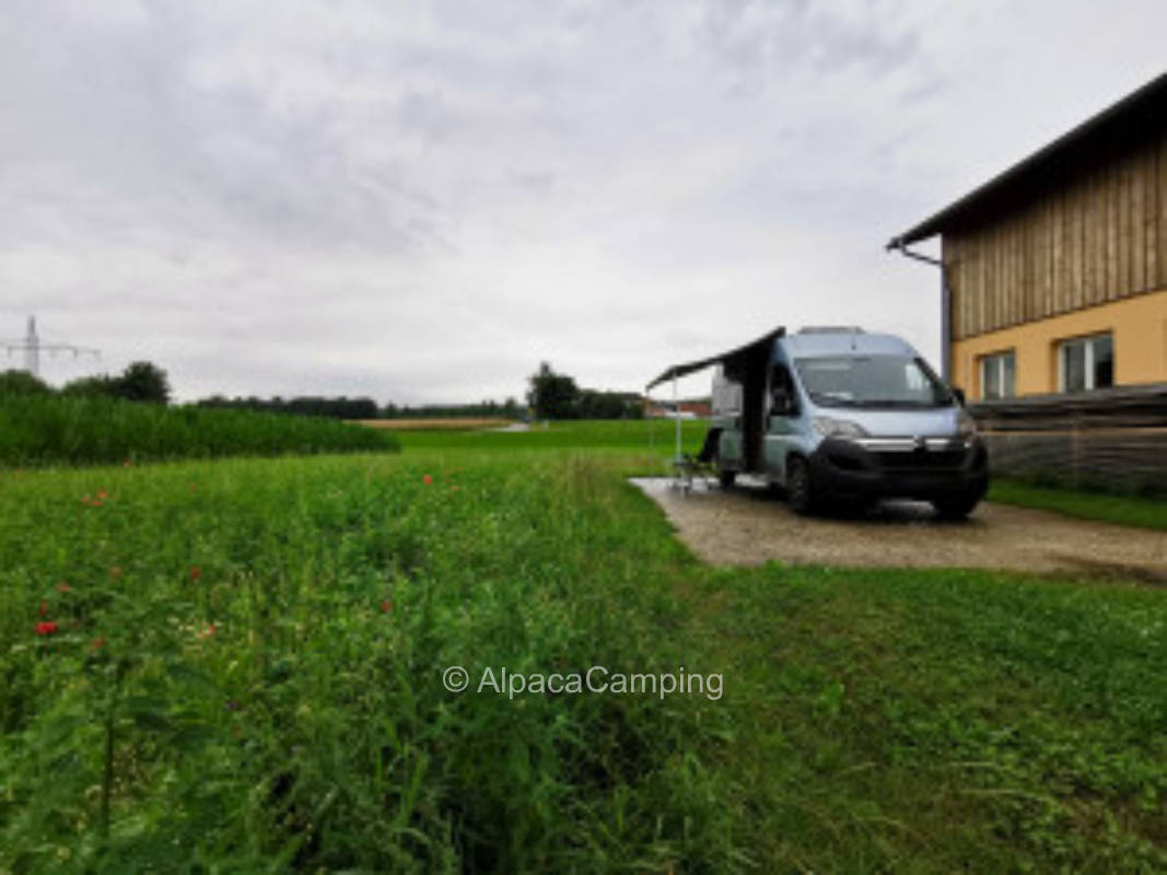 Auf der Alpaka Ranch #1, privater Stellplatz